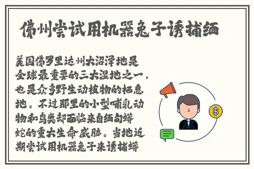 91免费精品国产拍在线